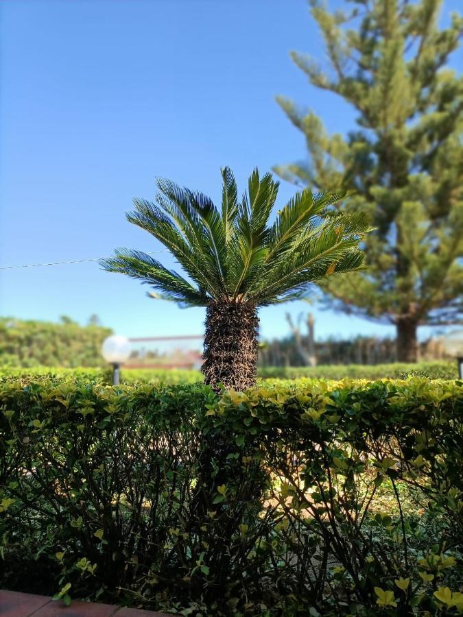La casa al sole Villa Marina di Sorso Esterno foto
